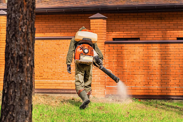 Trusted Rodent Control service in Cresson, PA - Nex Pest Control